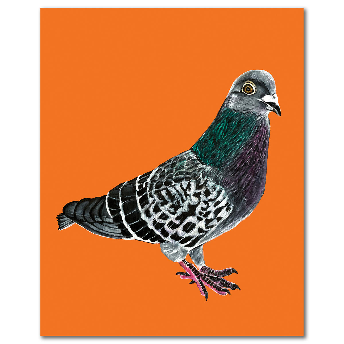 Pigeon Mine? Print, Art, Digital Print, Wall Design, Poster outlets