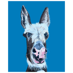 Donkey Fine Art Print – Babe