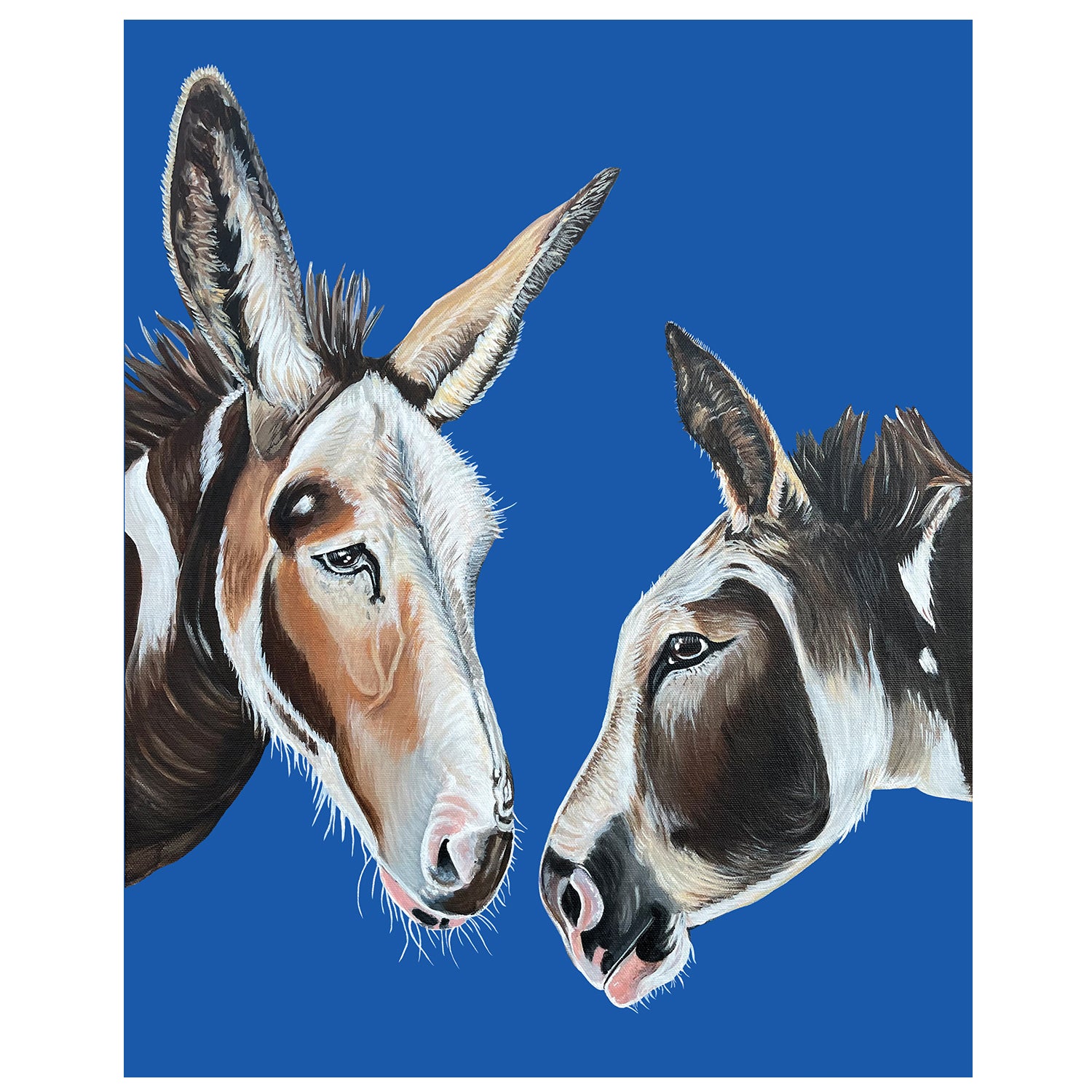 Donkey Fine Art Print – Beatrice and Sylvia