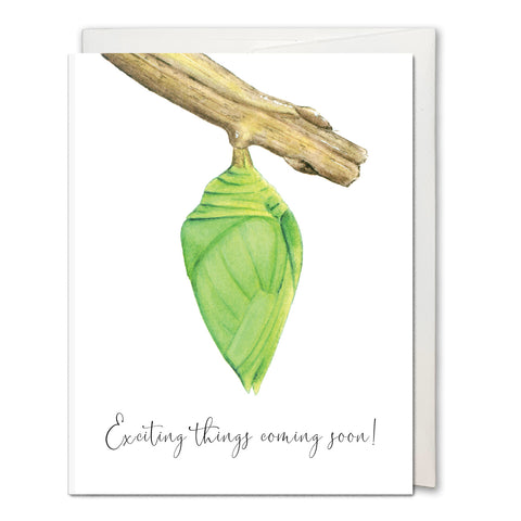 Cocoon Greeting Card - Encouragement