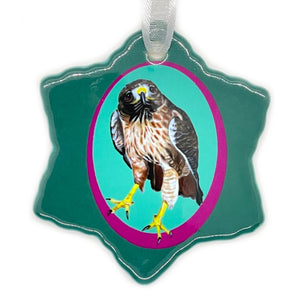 Red-Tailed Hawk Porcelain Holiday Ornament – Denali