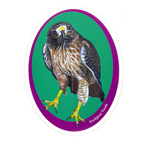 Red-Tailed Hawk Sticker– Denali