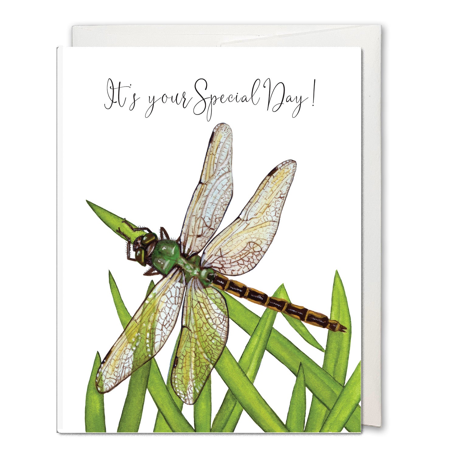 Dragonfly Greeting Card - Birthday