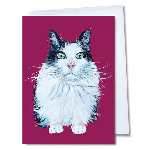 Cat Greeting Card - Kiwi