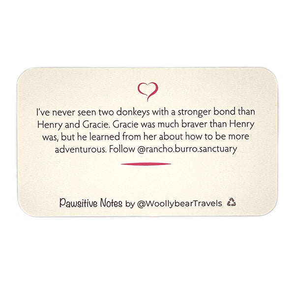Pawsitive Notes- Gracie and Henry