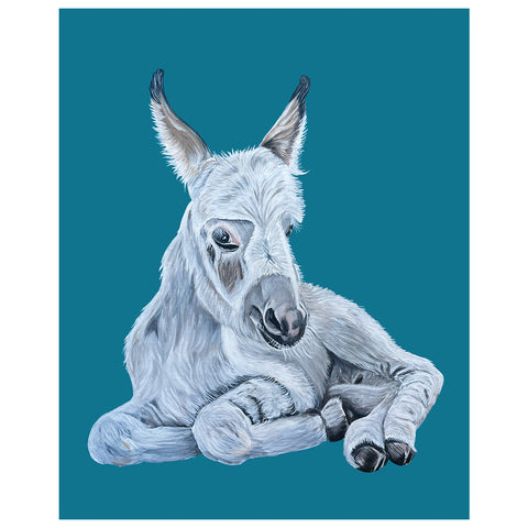 Donkey Fine Art Print – Howie