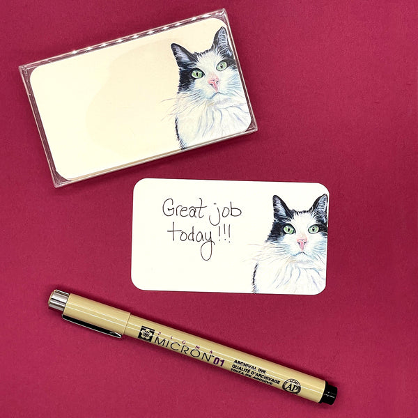 Pawsitive Notes- Kiwi