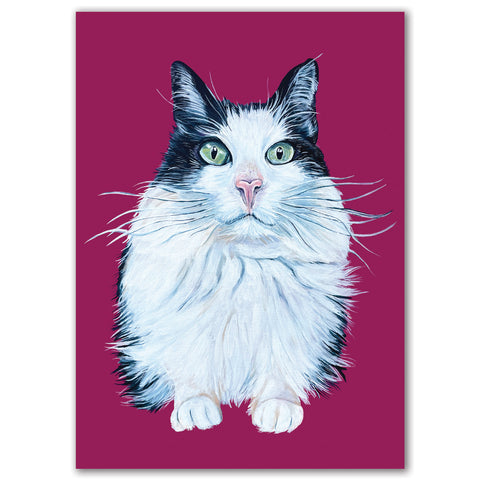 Cat Fine Art Print - Kiwi