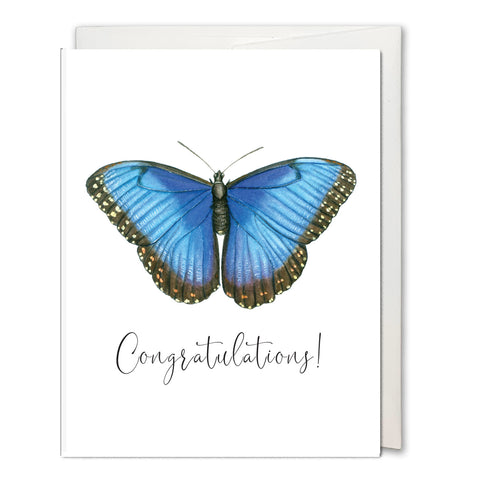 Morpho Butterfly Greeting Card - Congratulations