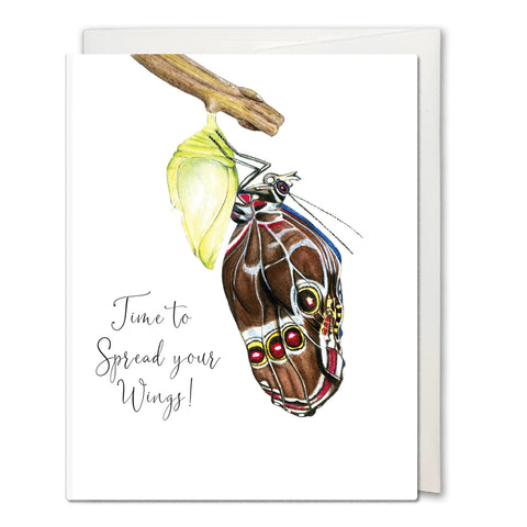 Morpho Butterfly Emerging Greeting Card - Encouragement