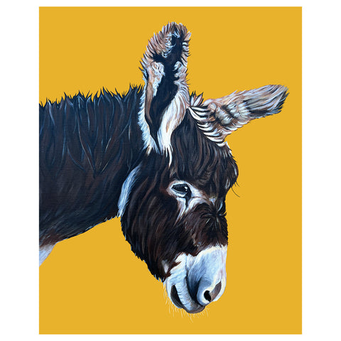 Donkey Fine Art Print – Patches