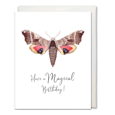 Sphinx Moth Greeting Card - Birthday