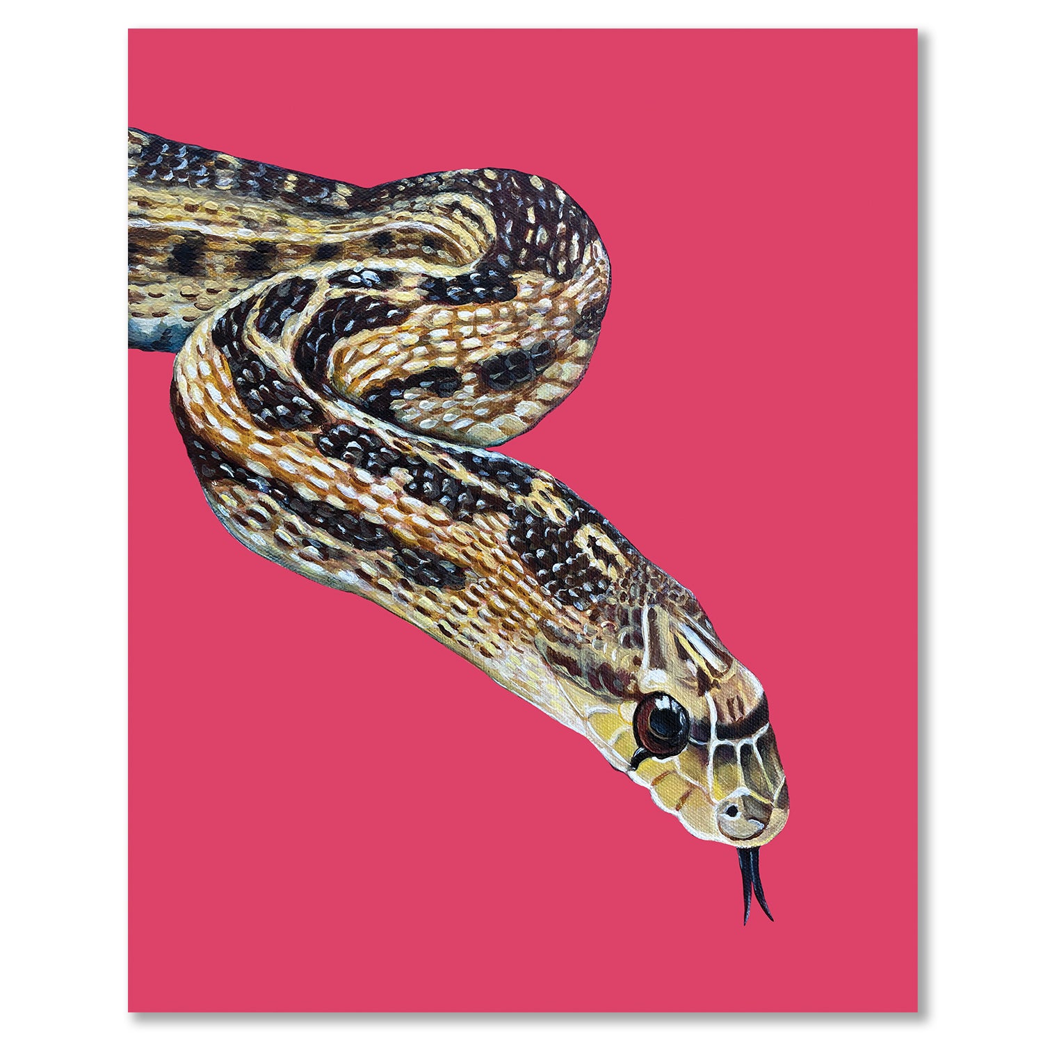 Snake Fine Art Print – William Snakespeare