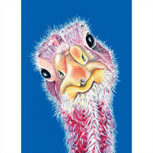 Turkey painting- acrylic on canvas with a blue background. Felicity is a turkey that lives at Loving Farm Animal Sanctuary in California