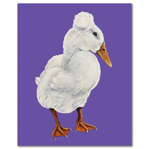 Duck Fine Art Print - Barry