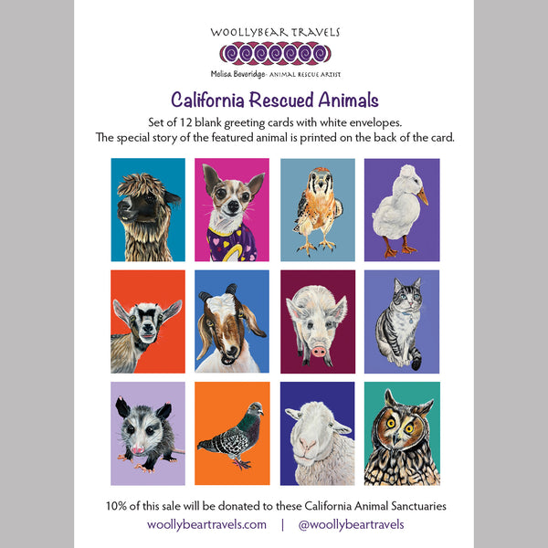 California Rescued Animals Card Set 2