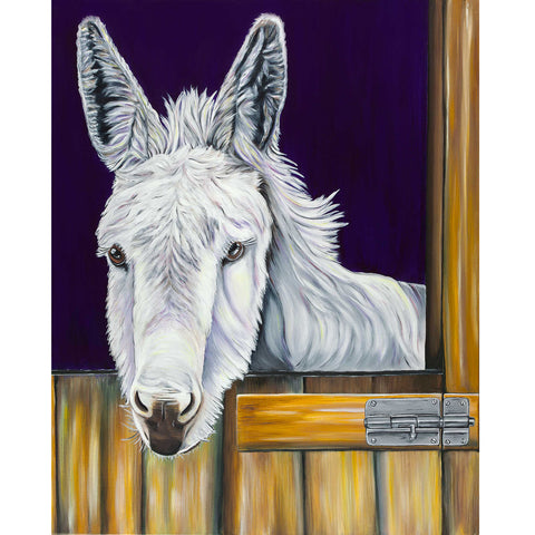 donkey painting- acrylic on canvas with a purple background. Snowy was a donkey that lived at the Isle of Wight Donkey Sanctuary in England