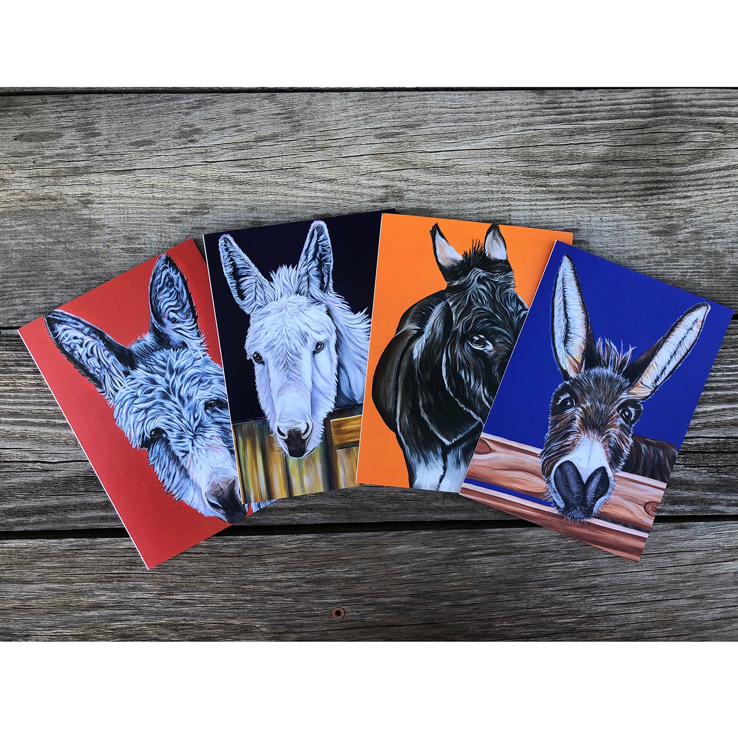 four featured  rescue donkeys in this greeting card pack from the Isle of Wight Donkey Sanctuary