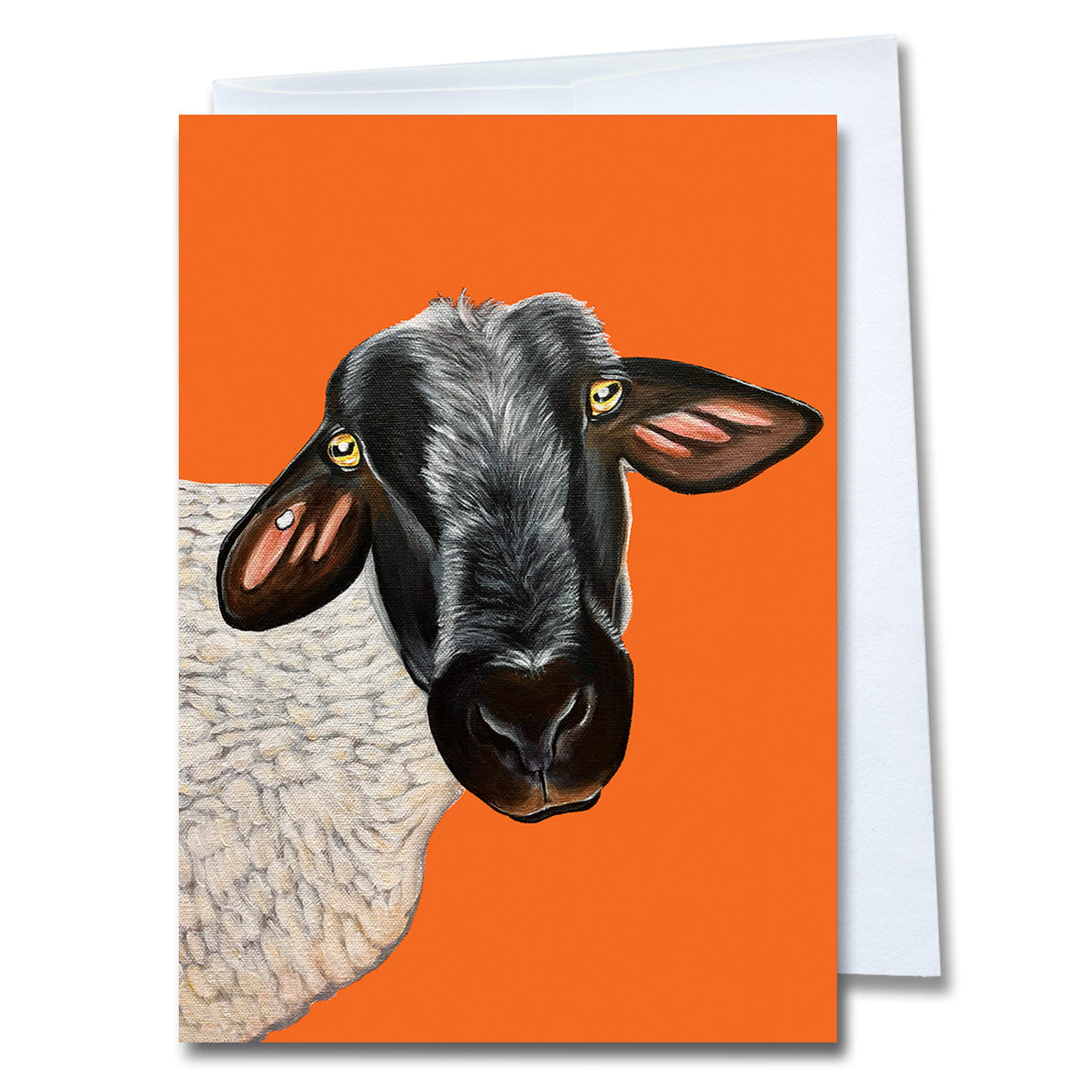 Beau- Sheep cards- Pack of 6