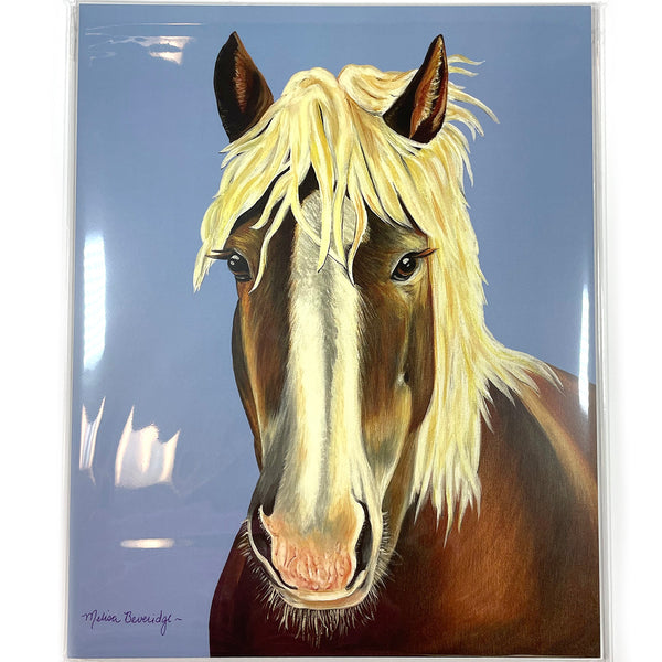 Horse Fine Art Print - Lover Boy