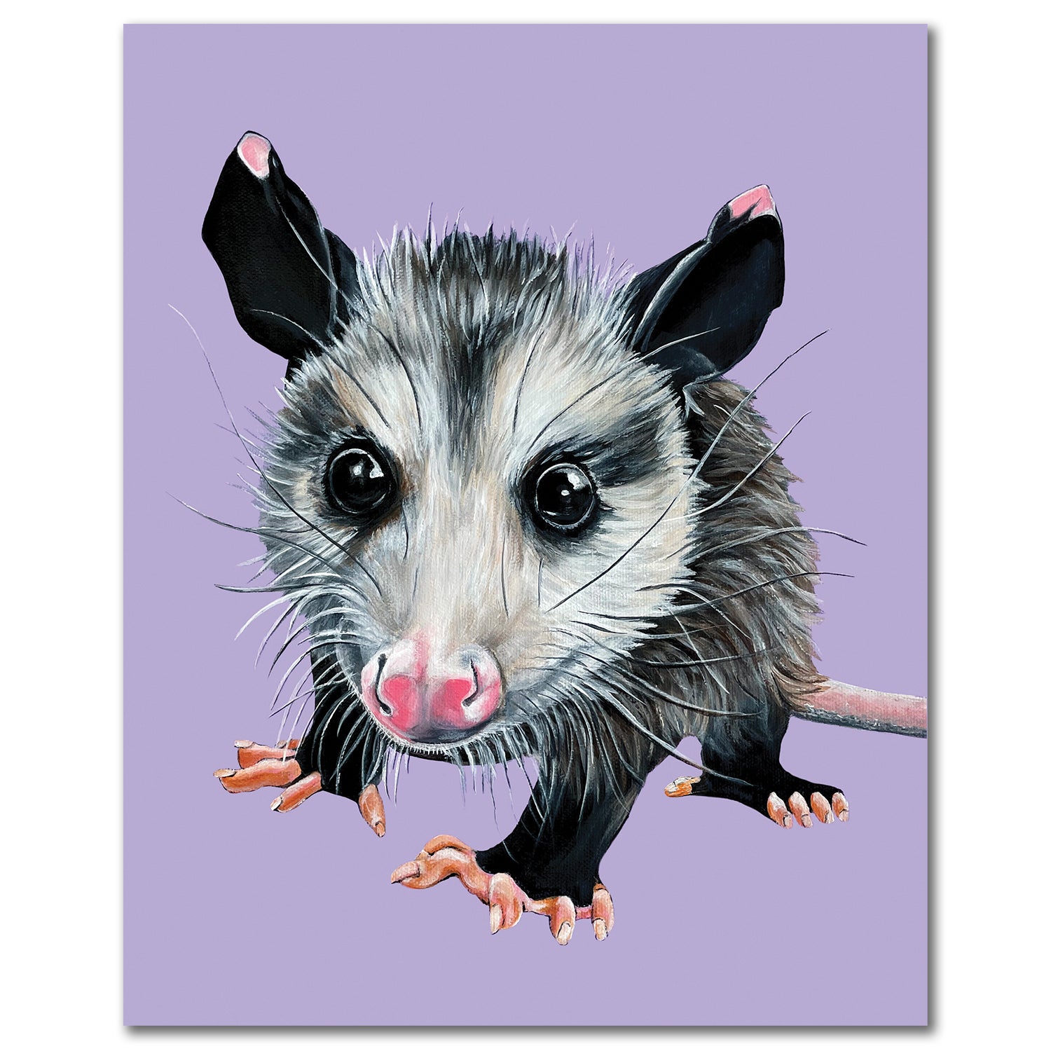 fun to draw possum