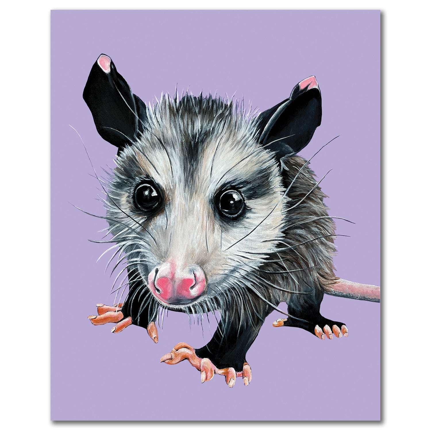 Opossum Fine Art – Peanut – Woollybear Travels