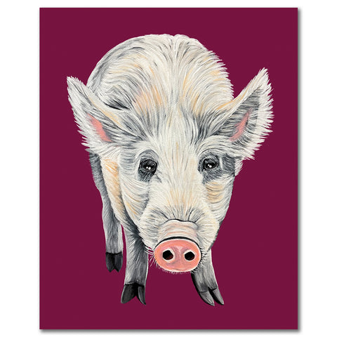 Pig Fine Art Print - Nicholas