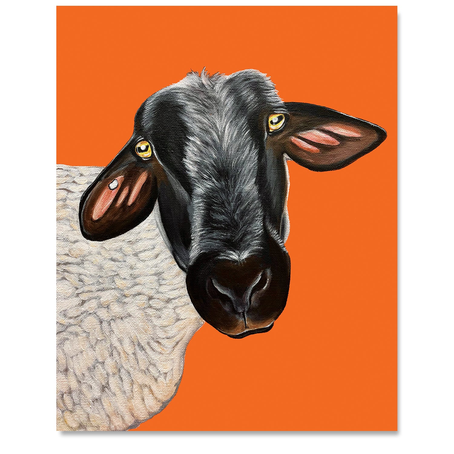 Sheep Fine Art Print - Beau