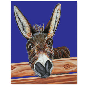 Donkey Fine Art Print - Jimbob