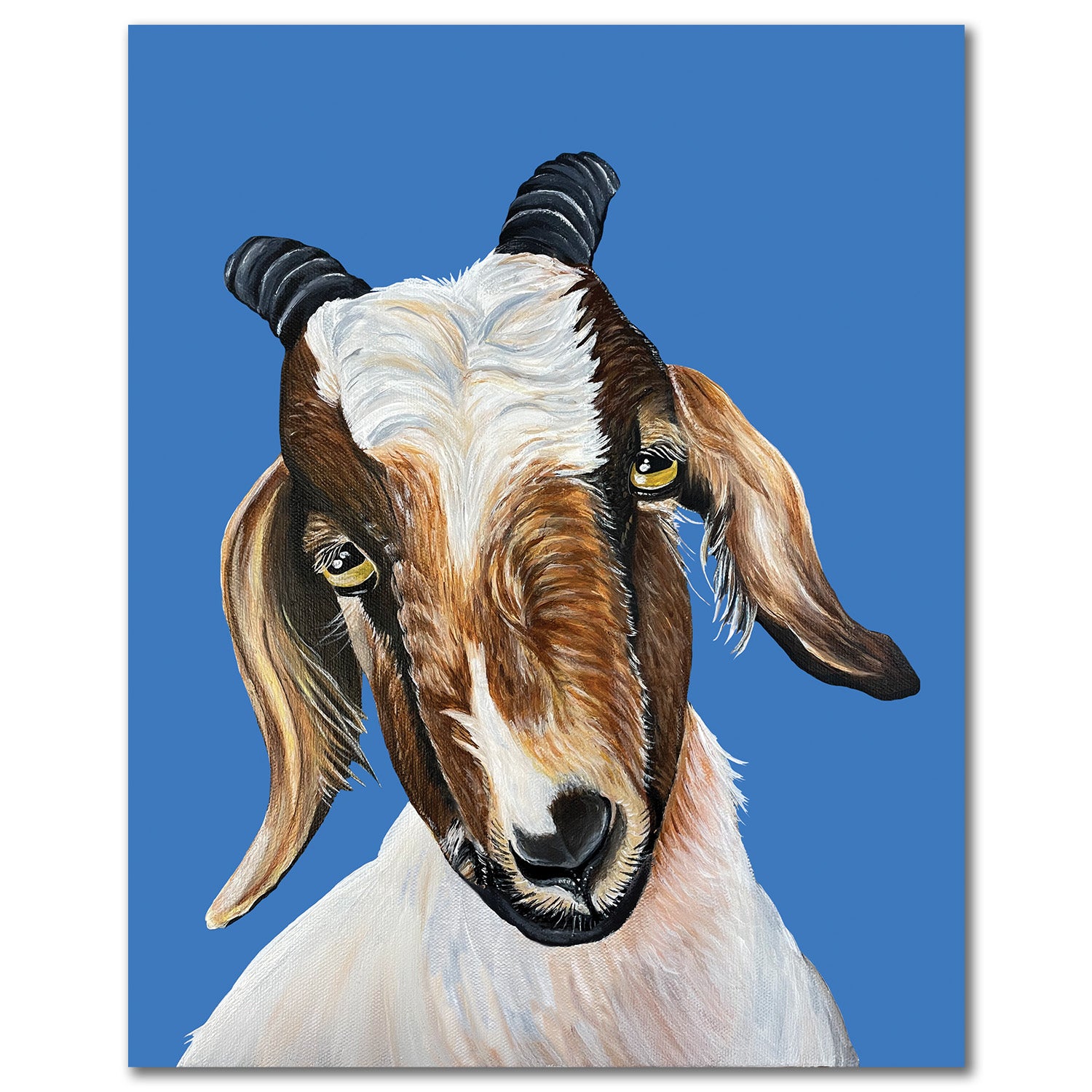 Goat Fine Art Print - Ollie