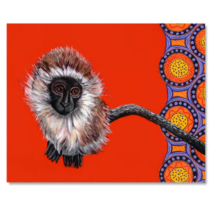 Vervet Monkey Fine Art Print – Oscar