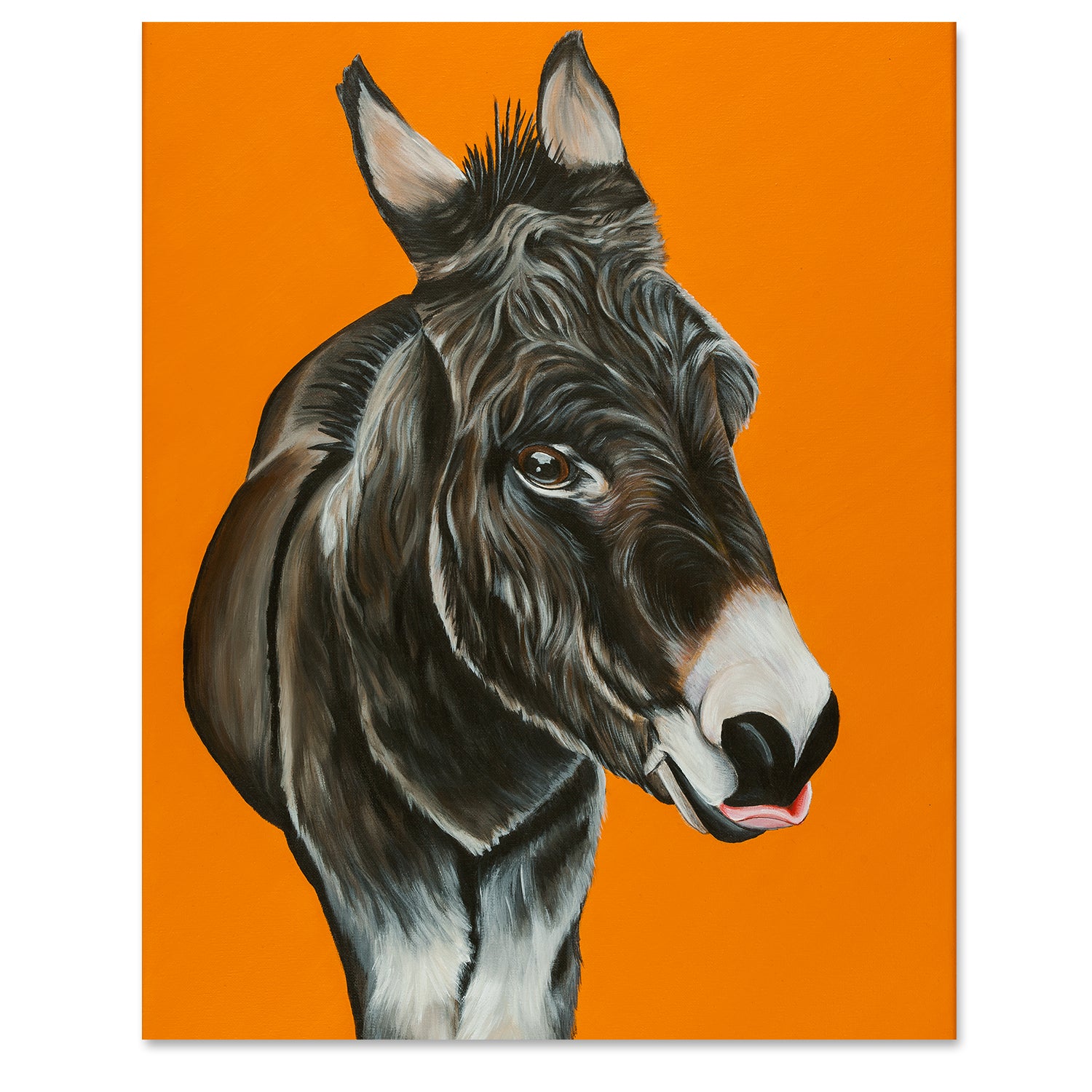 Donkey Fine Art Print - Thomas