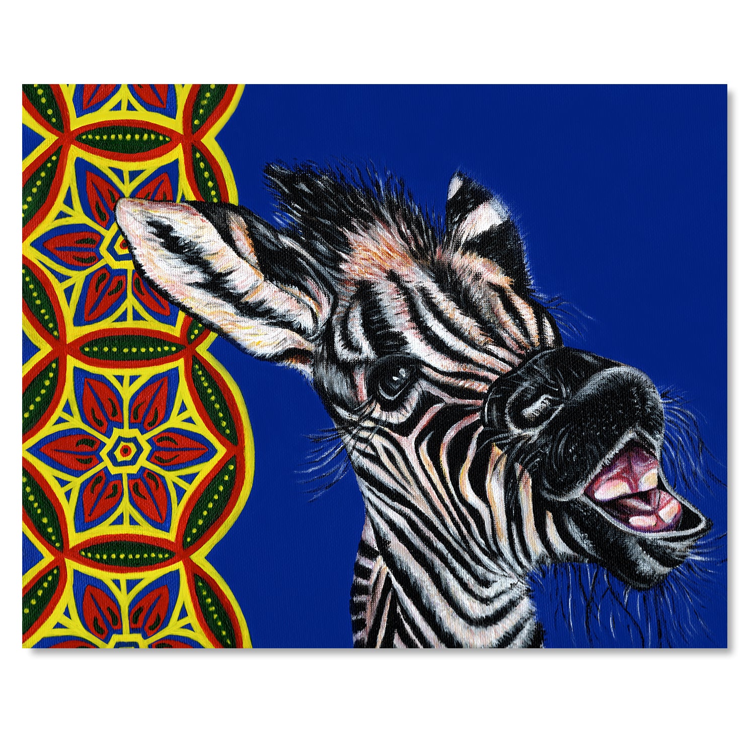 Zebra Fine Art Print – Zimmi