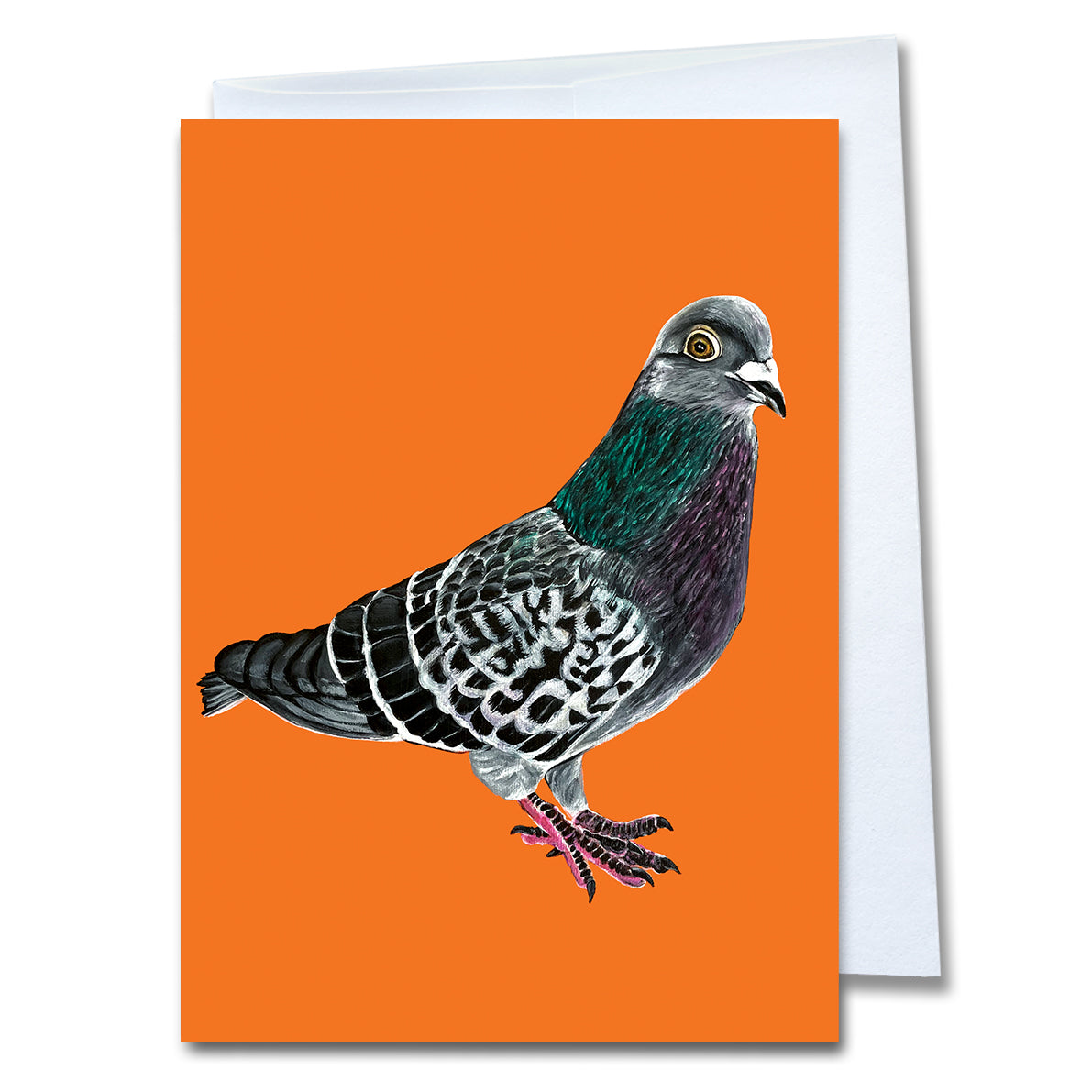 Pigeon Greeting Card - Pidgy